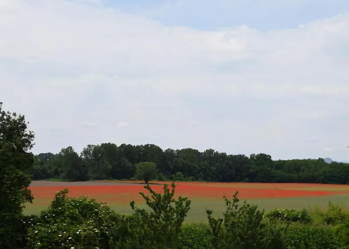 Lägenhet Mas Du Pont Saint-Jean-de-Maruéjols-et-Avéjan